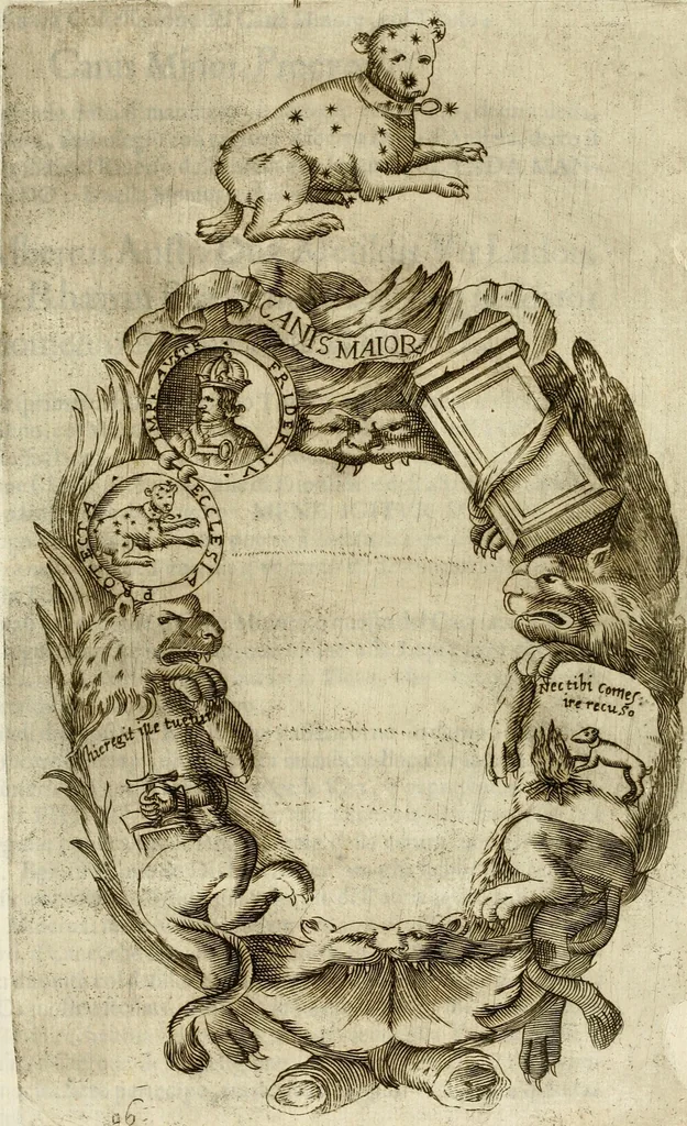 An illustration from Pompe fvnebri dell'vniverso : nella morte di Filippo qvarto il grande re delle Spagne, monarca cattolico, celebrate in Napoli alli XVIII. di febraro MDCLXVI dall'eminentissimo signore don Pascale Aragona ..., 1666, leaf 186