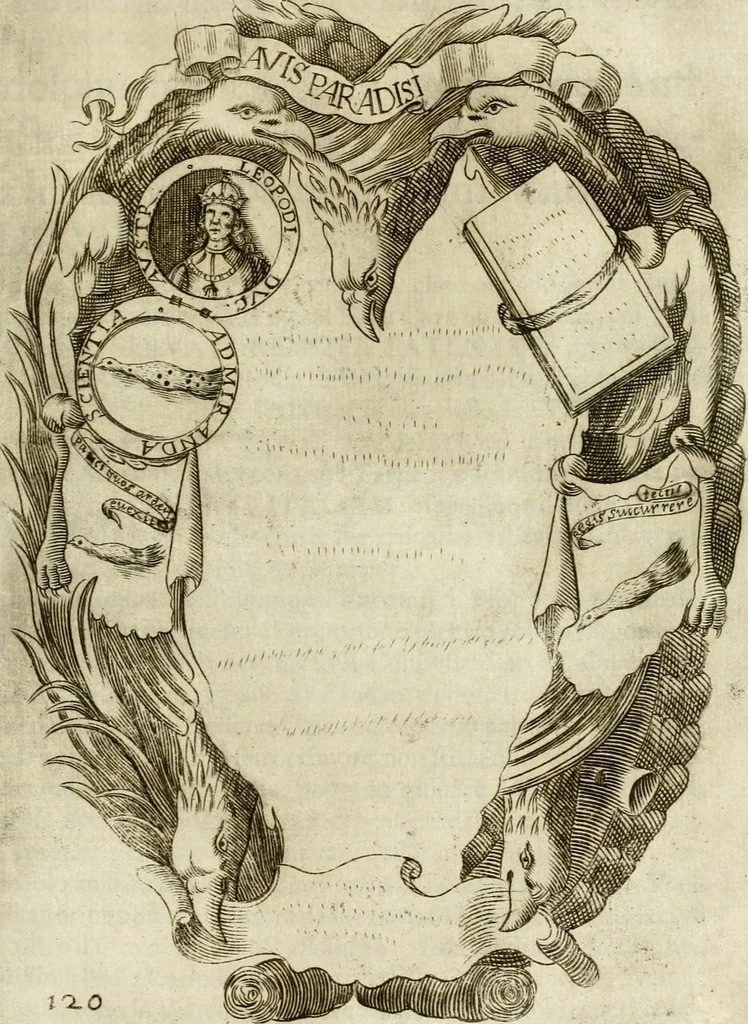 An illustration from Pompe fvnebri dell'vniverso : nella morte di Filippo qvarto il grande re delle Spagne, monarca cattolico, celebrate in Napoli alli XVIII. di febraro MDCLXVI dall'eminentissimo signore don Pascale Aragona ..., 1666, leaf 234