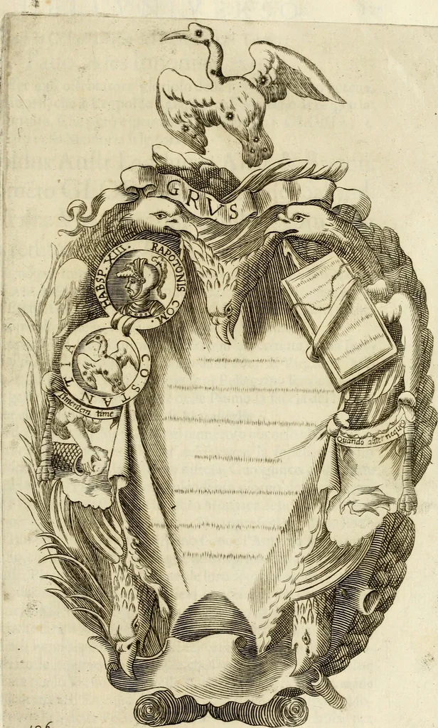 An illustration from Pompe fvnebri dell'vniverso : nella morte di Filippo qvarto il grande re delle Spagne, monarca cattolico, celebrate in Napoli alli XVIII. di febraro MDCLXVI dall'eminentissimo signore don Pascale Aragona ..., 1666, leaf 246