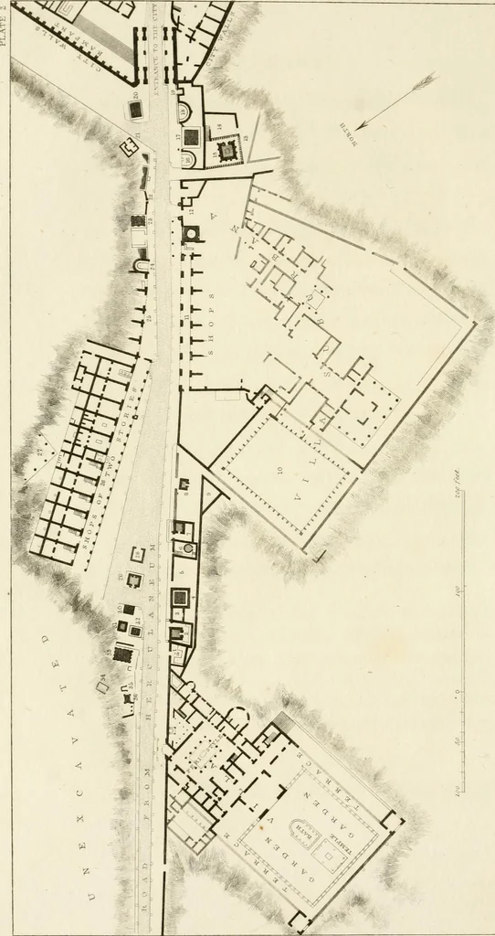 An illustration from Pompeiana : the topography, edifices, and ornaments of Pompeii, 1817, leaf 149