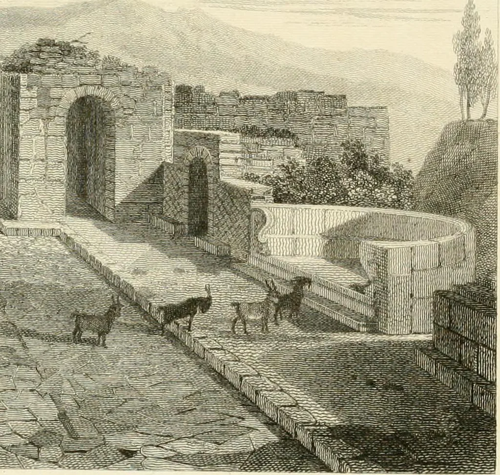An illustration from Pompeiana : the topography, edifices, and ornaments of Pompeii, 1817, leaf 204