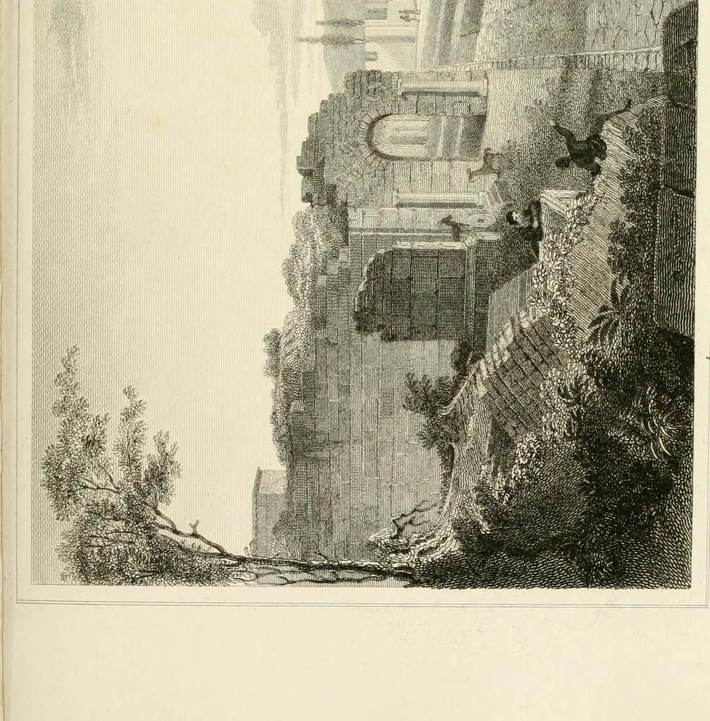 An illustration from Pompeiana : the topography, edifices, and ornaments of Pompeii, 1817, leaf 204