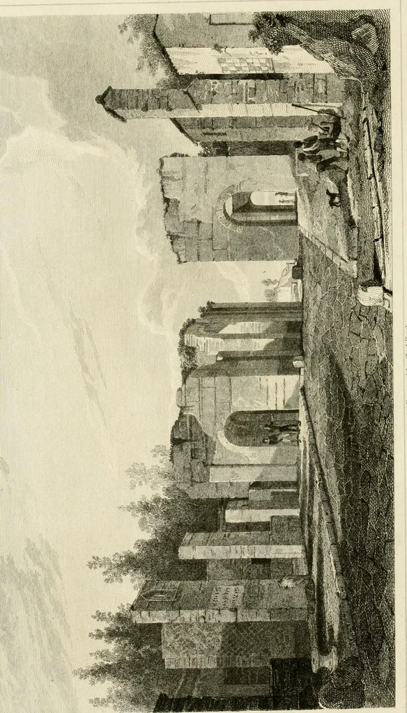 An illustration from Pompeiana : the topography, edifices, and ornaments of Pompeii, 1817, leaf 207