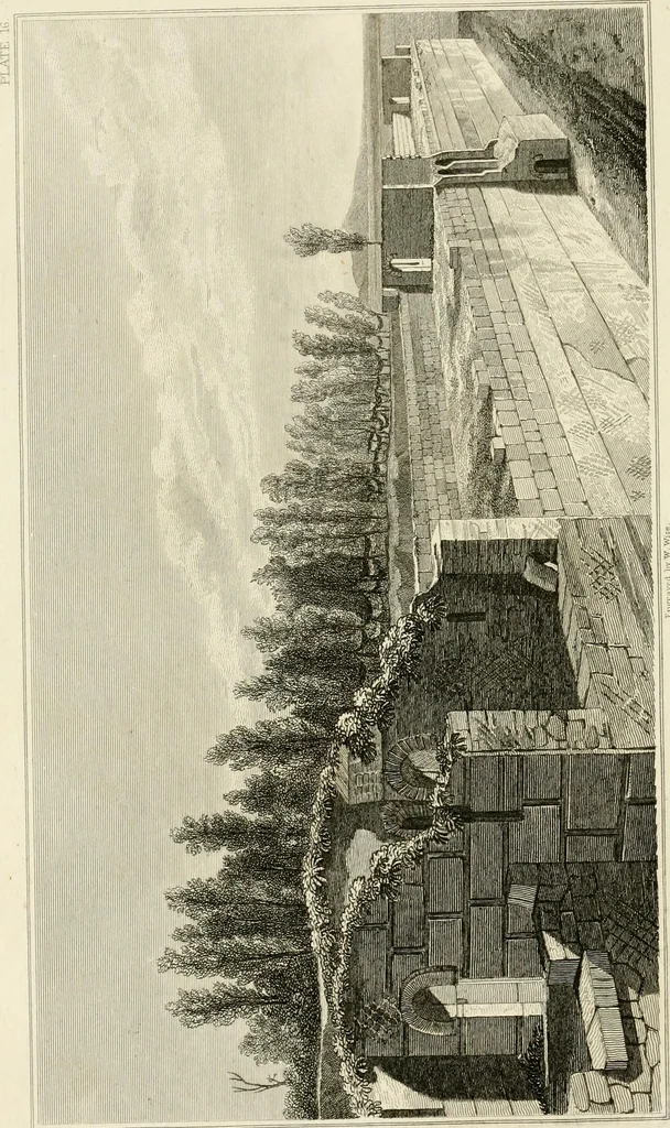 An illustration from Pompeiana : the topography, edifices, and ornaments of Pompeii, 1817, leaf 213