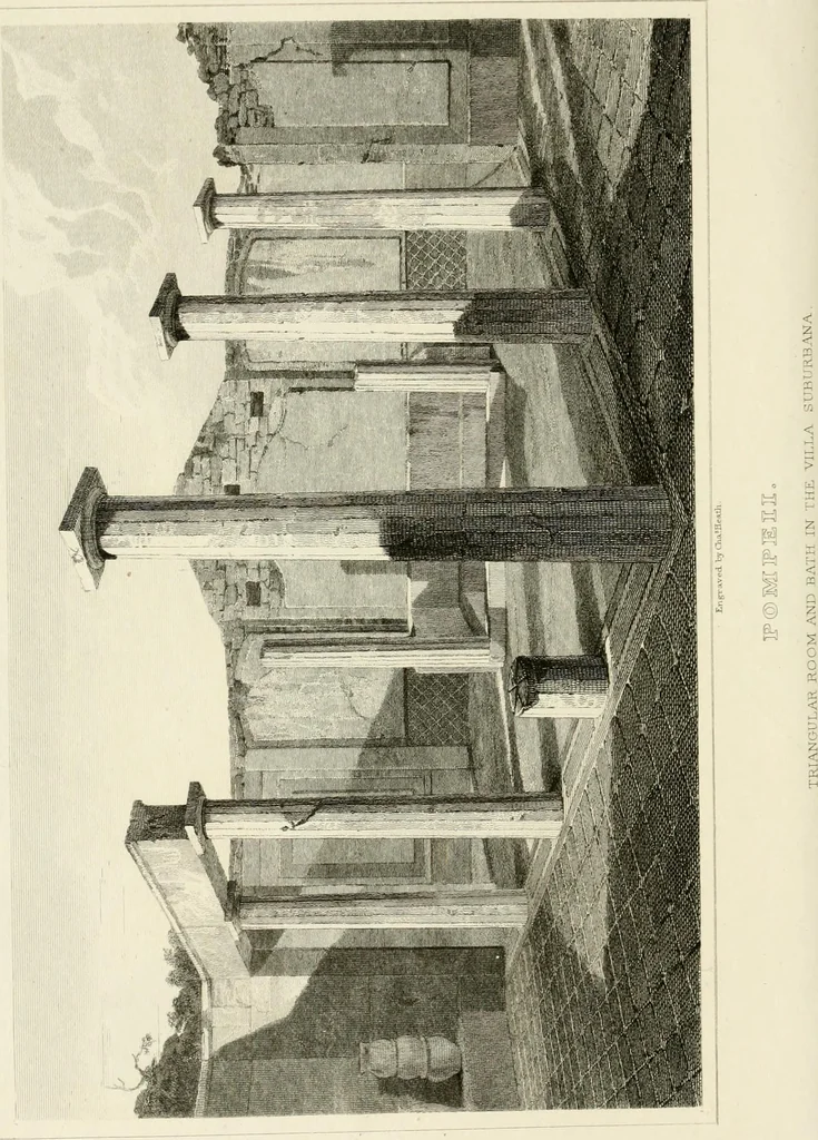 An illustration from Pompeiana : the topography, edifices, and ornaments of Pompeii, 1817, leaf 255