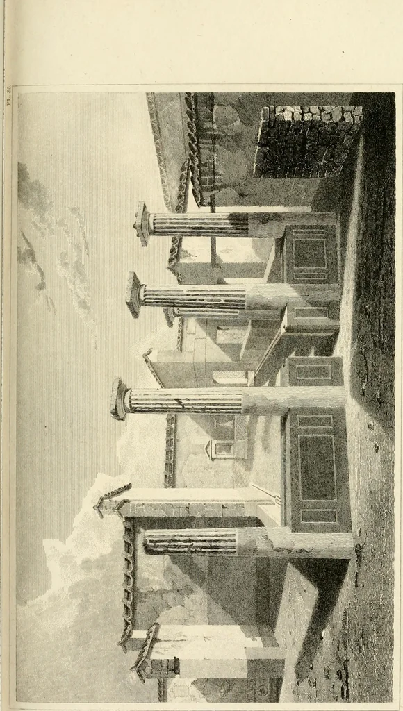 An illustration from Pompeiana : the topography, edifices, and ornaments of Pompeii, 1817, leaf 266