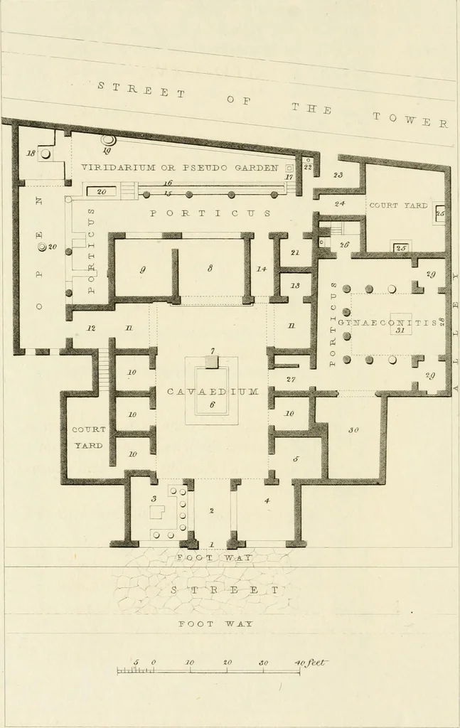An illustration from Pompeiana : the topography, edifices, and ornaments of Pompeii, 1817, leaf 271
