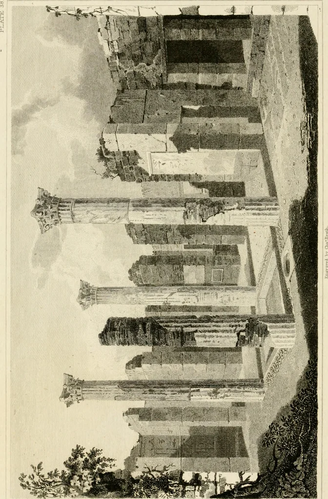 An illustration from Pompeiana : the topography, edifices, and ornaments of Pompeii, 1817, leaf 313