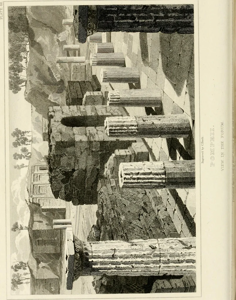 An illustration from Pompeiana : the topography, edifices, and ornaments of Pompeii, 1817, leaf 357