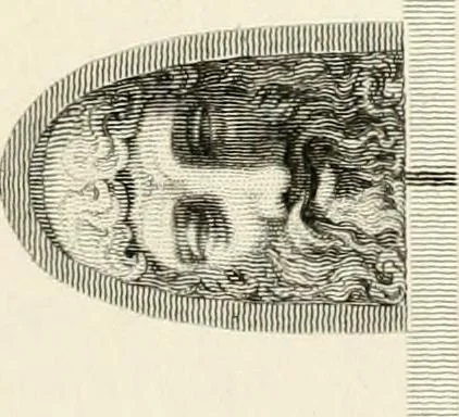 An illustration from Pompeiana : the topography, edifices, and ornaments of Pompeii, 1817, leaf 364