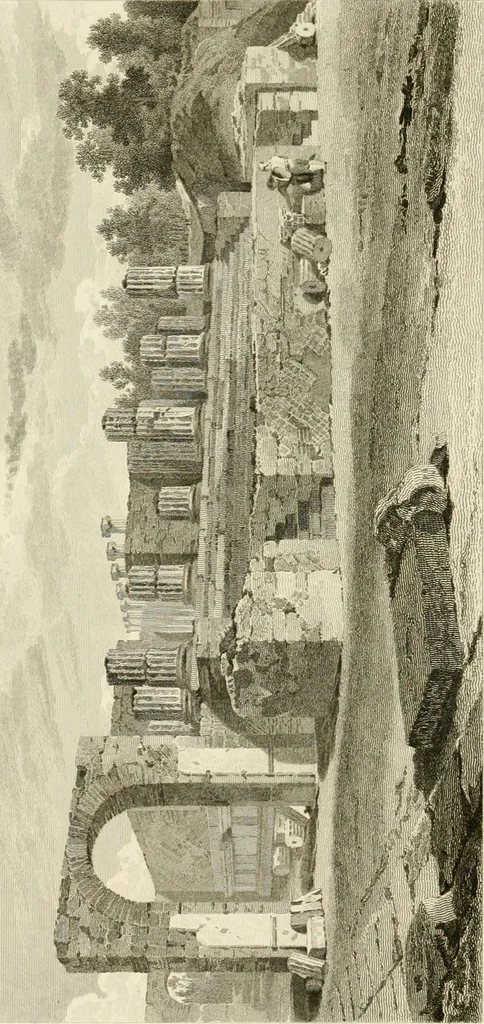 An illustration from Pompeiana : the topography, edifices, and ornaments of Pompeii, 1817, leaf 371