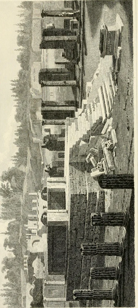 An illustration from Pompeiana : the topography, edifices, and ornaments of Pompeii, 1817, leaf 376