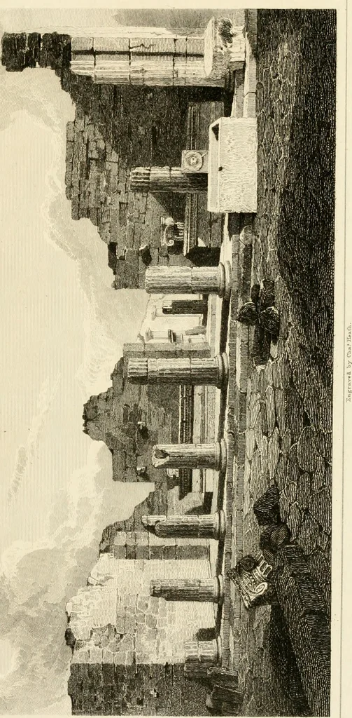 An illustration from Pompeiana : the topography, edifices, and ornaments of Pompeii, 1817, leaf 422
