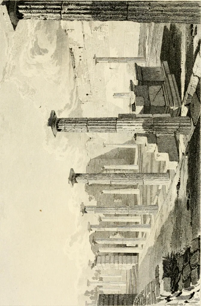 An illustration from Pompeiana : the topography, edifices, and ornaments of Pompeii, 1817, leaf 446