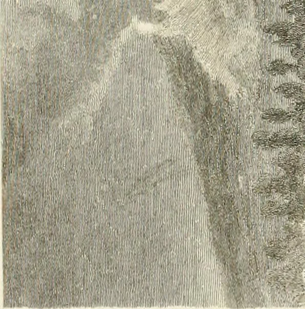 An illustration from Pompeiana : the topography, edifices, and ornaments of Pompeii, 1817, leaf 449