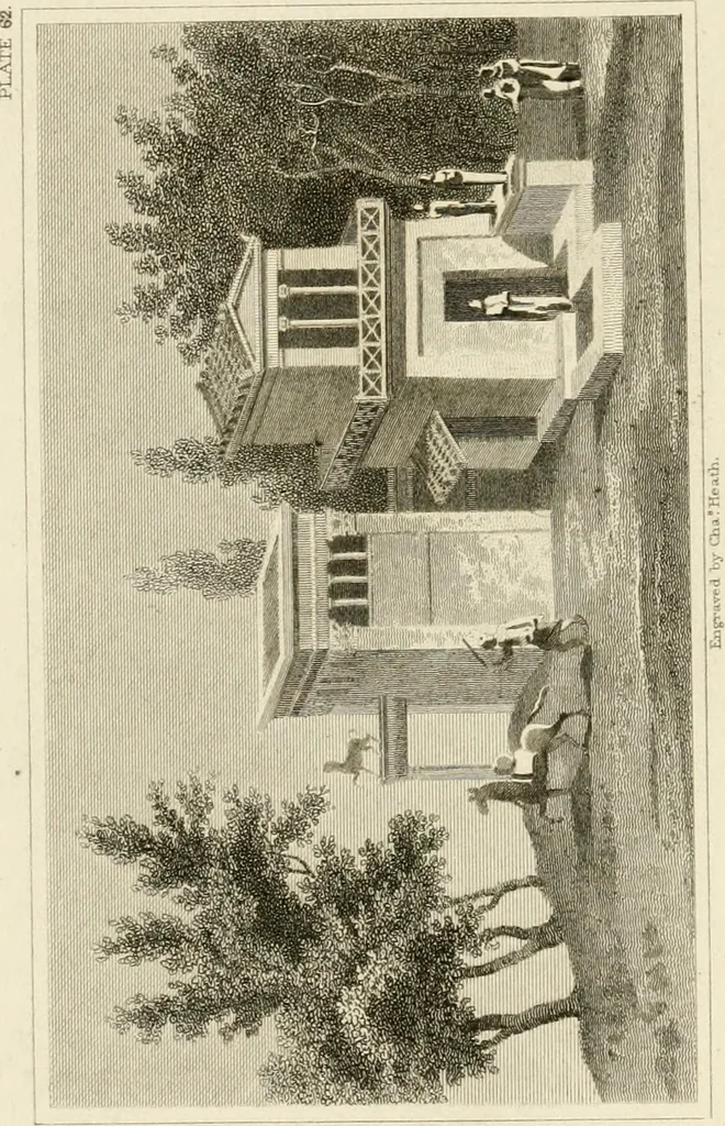 An illustration from Pompeiana : the topography, edifices, and ornaments of Pompeii, 1824, leaf 185