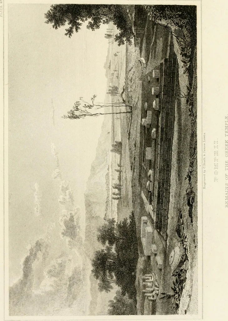 An illustration from Pompeiana : the topography, edifices, and ornaments of Pompeii, 1824, leaf 216