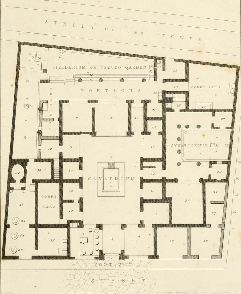 An illustration from Pompeiana : the topography, edifices, and ornaments of Pompeii, 1824, leaf 56
