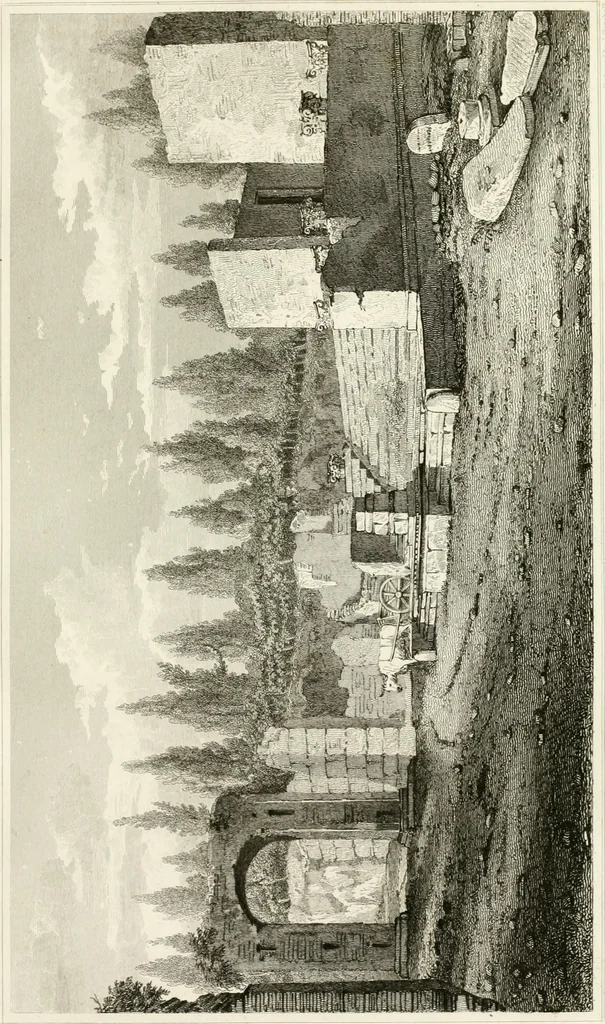 An illustration from Pompeiana : the topography, edifices and ornaments of Pompeii : the result of excavations since 1819, 1832, leaf 136