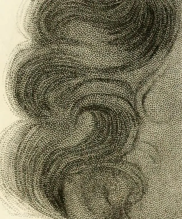 An illustration from Pompeiana : the topography, edifices and ornaments of Pompeii : the result of excavations since 1819, 1832, leaf 248