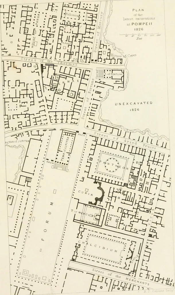 An illustration from Pompeiana : the topography, edifices and ornaments of Pompeii : the result of excavations since 1819, 1832, leaf 40