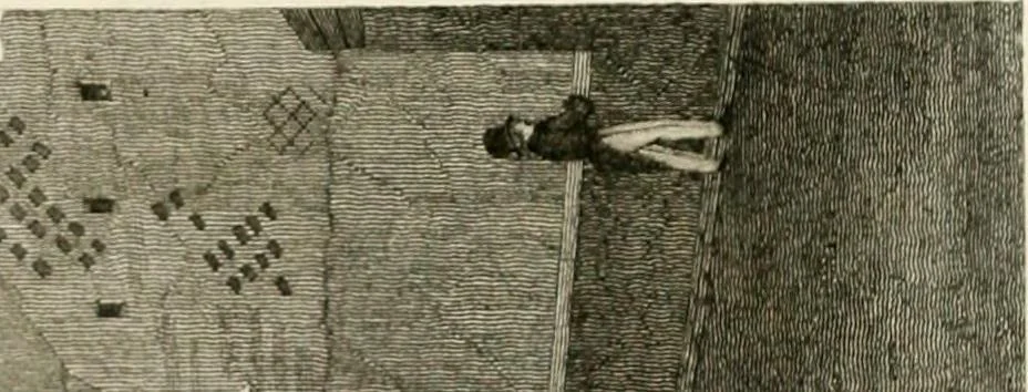 An illustration from Pompeiana : the topography, edifices and ornaments of Pompeii : the result of excavations since 1819, 1832, leaf 134