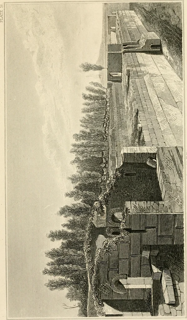An illustration from Pompeiana : the topography, edifices, and ornaments of Pompeii, 1852, leaf 164