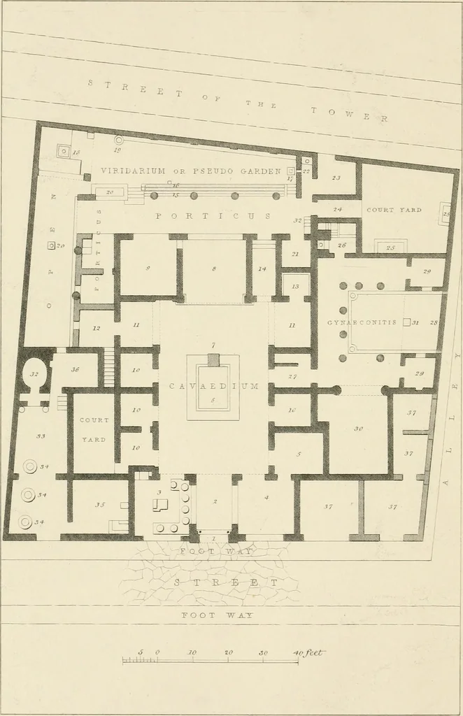 An illustration from Pompeiana : the topography, edifices, and ornaments of Pompeii, 1852, leaf 211