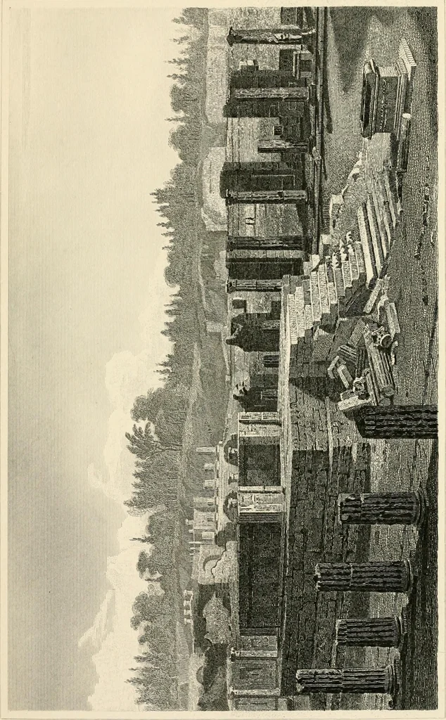 An illustration from Pompeiana : the topography, edifices, and ornaments of Pompeii, 1852, leaf 312