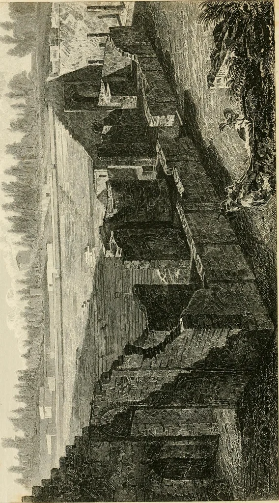 An illustration from Pompeiana : the topography, edifices, and ornaments of Pompeii, 1852, leaf 369