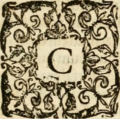 An illustration from Pompeii Vgonii In funere amplissimi Cardinalis Antonii Mariae Salviati oratio ad sacrum Senatvm : habita Romæ in Templo S. Iacobi in Augusta ab eodem Cardinale condito, xi. Kal. Februarij anno MDCIII : item poemata varia die funeris templi parietibus affixa, & funebris pompæ vulgari sermone descriptio, 1603, leaf 12