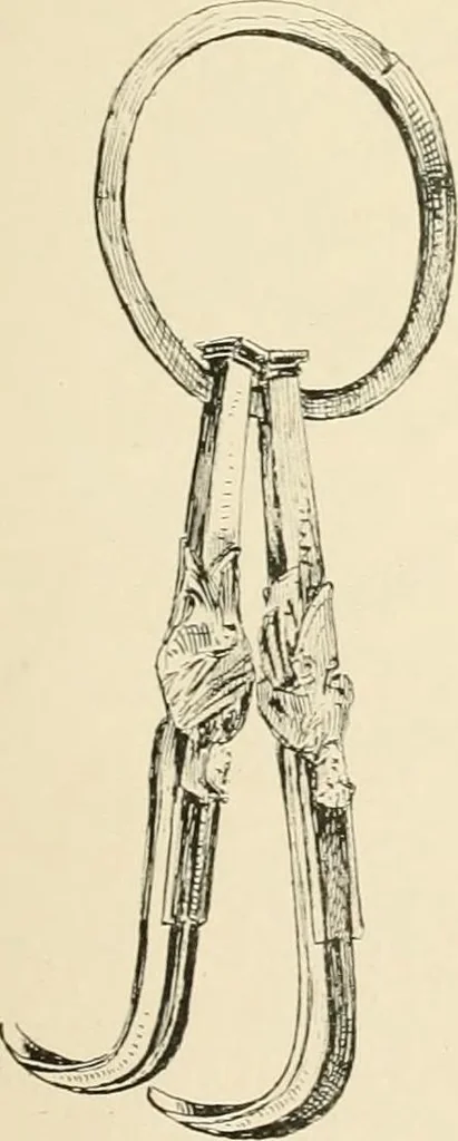 An illustration from Pompei : la ville, les moeurs, les arts, 1899, leaf 192