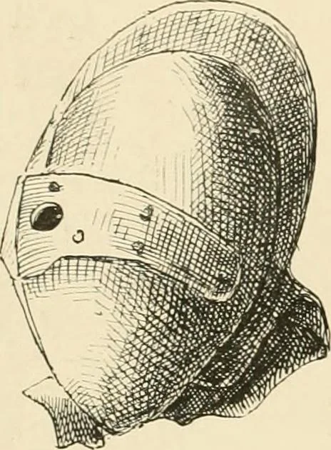 An illustration from Pompei : la ville, les moeurs, les arts, 1899, leaf 211