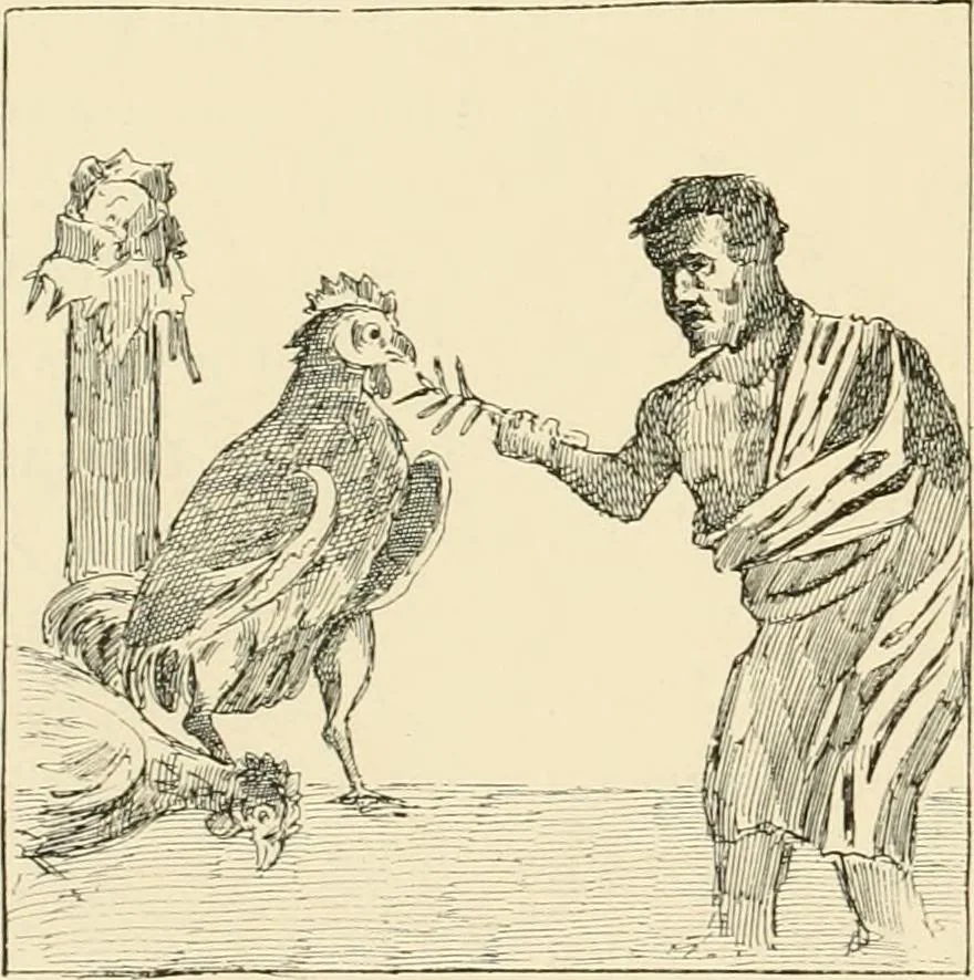 An illustration from Pompei : la ville, les moeurs, les arts, 1899, leaf 213