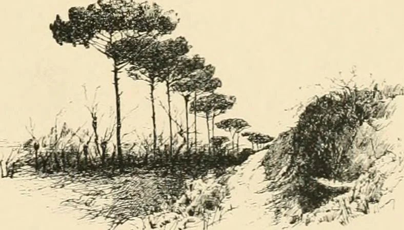 An illustration from Pompei : la ville, les moeurs, les arts, 1899, leaf 24