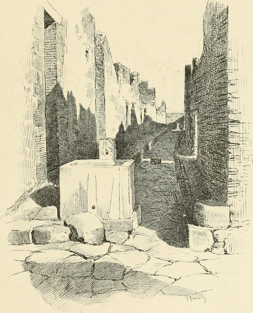 An illustration from Pompei : la ville, les moeurs, les arts, 1899, leaf 242