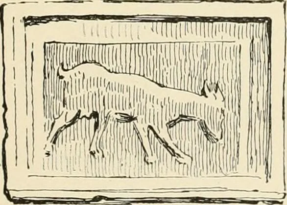An illustration from Pompei : la ville, les moeurs, les arts, 1899, leaf 248