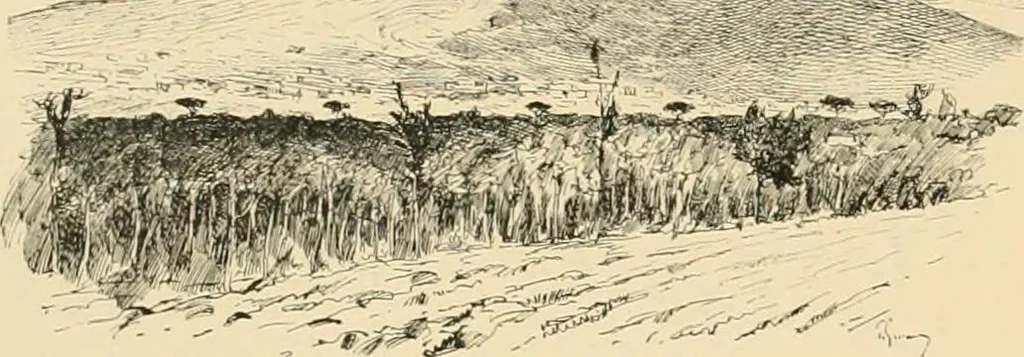 An illustration from Pompei : la ville, les moeurs, les arts, 1899, leaf 25