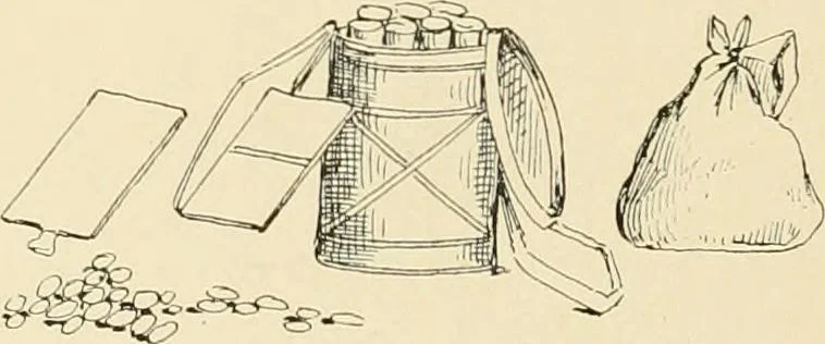 An illustration from Pompei : la ville, les moeurs, les arts, 1899, leaf 279