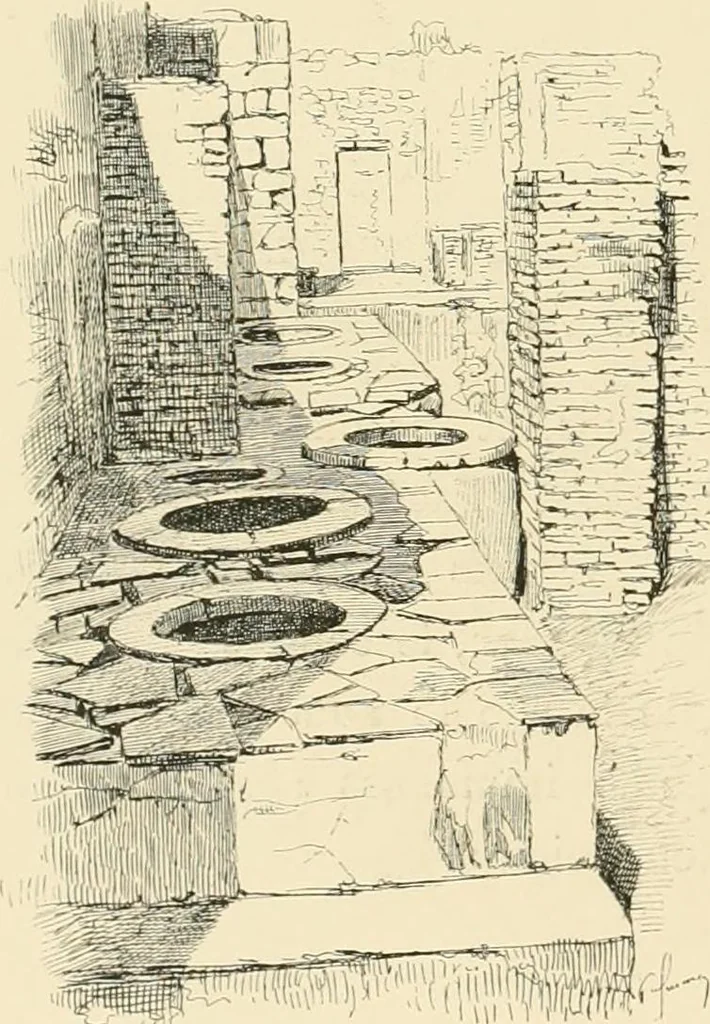 An illustration from Pompei : la ville, les moeurs, les arts, 1899, leaf 295