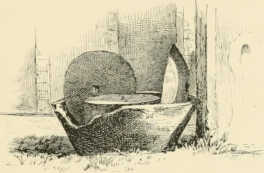 An illustration from Pompei : la ville, les moeurs, les arts, 1899, leaf 296