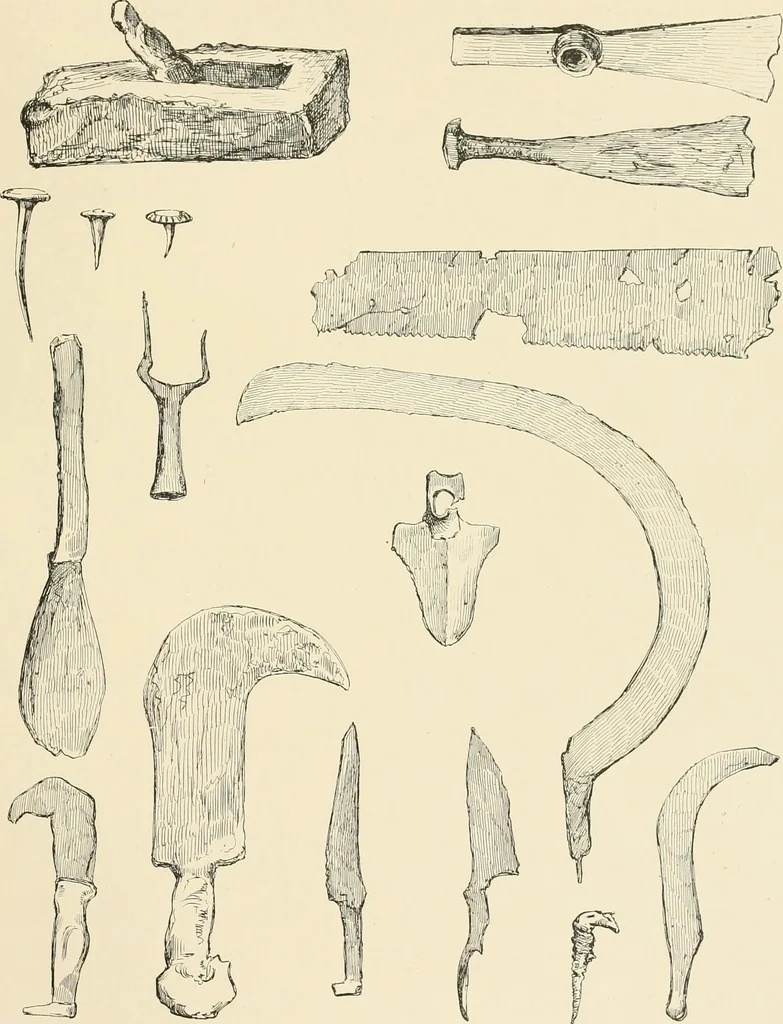 An illustration from Pompei : la ville, les moeurs, les arts, 1899, leaf 304