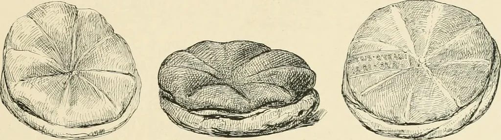 An illustration from Pompei : la ville, les moeurs, les arts, 1899, leaf 312