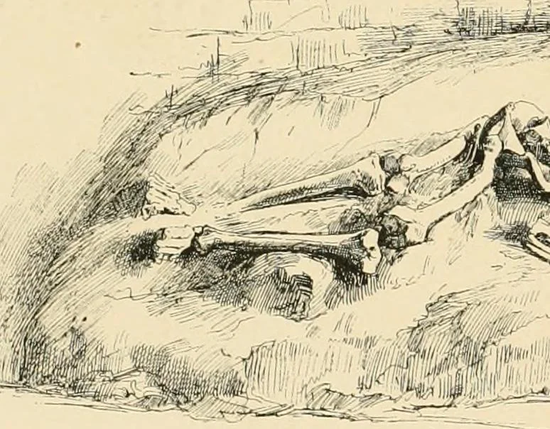 An illustration from Pompei : la ville, les moeurs, les arts, 1899, leaf 39