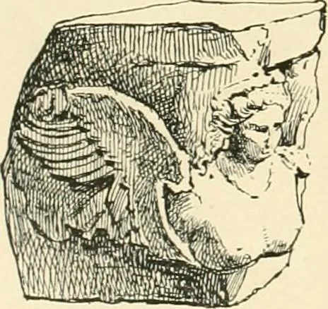 An illustration from Pompei : la ville, les moeurs, les arts, 1899, leaf 399