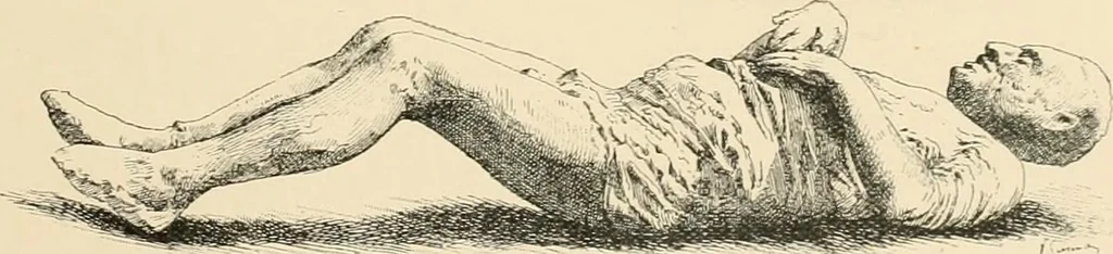 An illustration from Pompei : la ville, les moeurs, les arts, 1899, leaf 42
