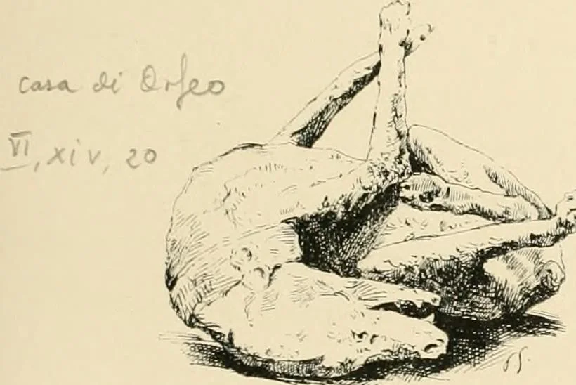 An illustration from Pompei : la ville, les moeurs, les arts, 1899, leaf 44