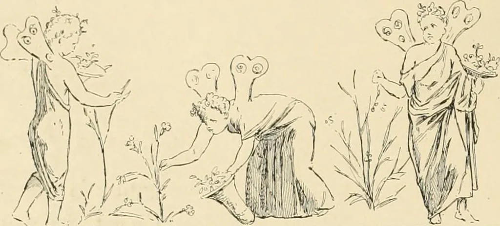 An illustration from Pompei : la ville, les moeurs, les arts, 1899, leaf 441