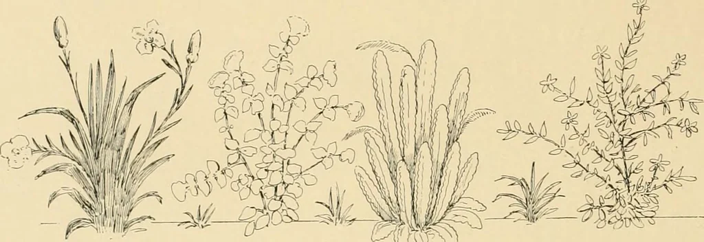 An illustration from Pompei : la ville, les moeurs, les arts, 1899, leaf 457