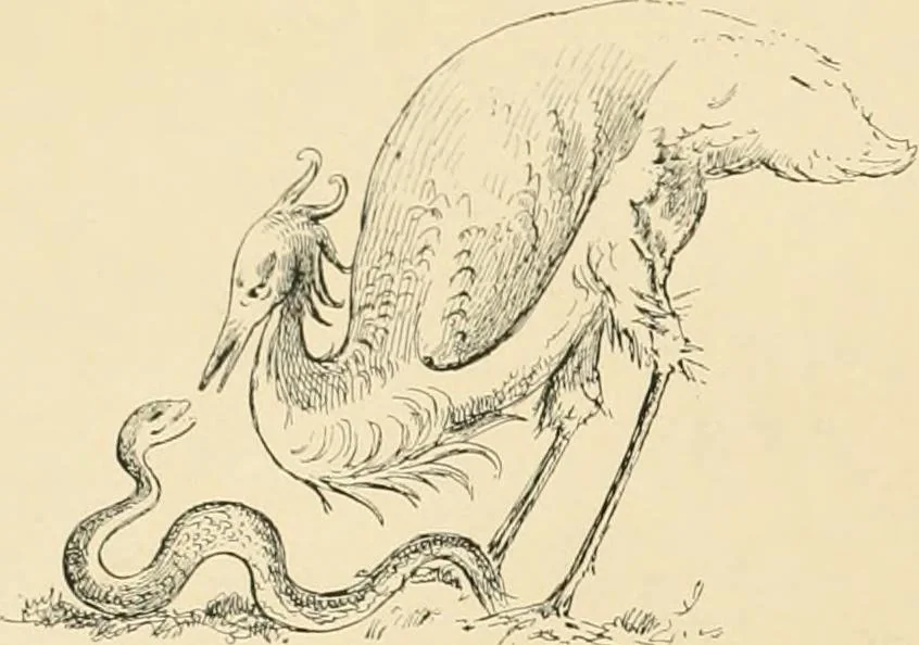 An illustration from Pompei : la ville, les moeurs, les arts, 1899, leaf 459
